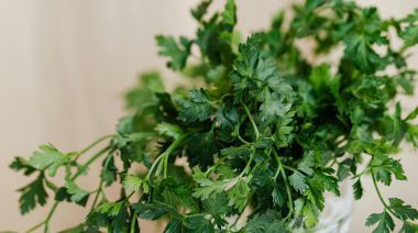 garnishing-instructions-image